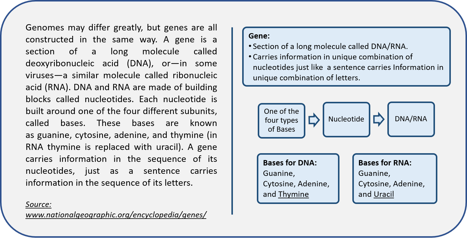 Visual learning content in Biology